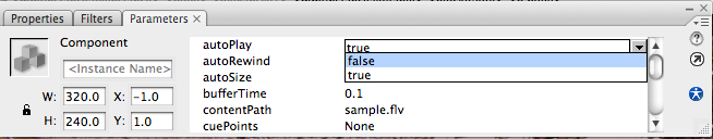 Change AutoPlay from Parameters of Properties