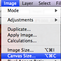 Canvas size menu