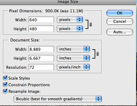 Image size options